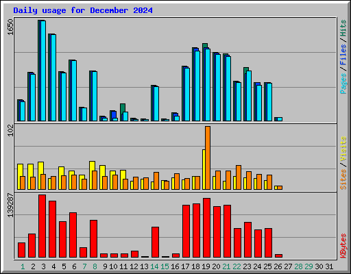 Daily usage for December 2024