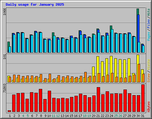 Daily usage for January 2025