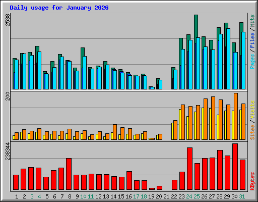 Daily usage for January 2026