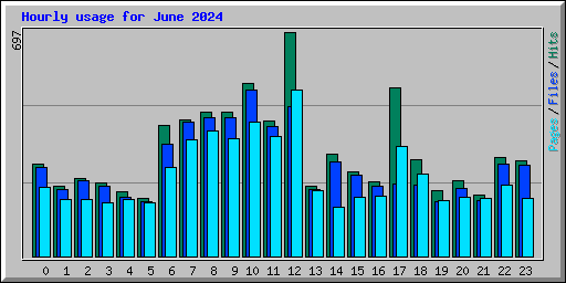 Hourly usage for June 2024