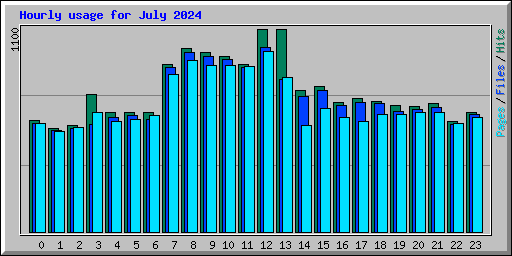 Hourly usage for July 2024