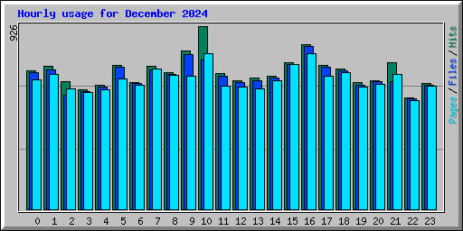 Hourly usage for December 2024