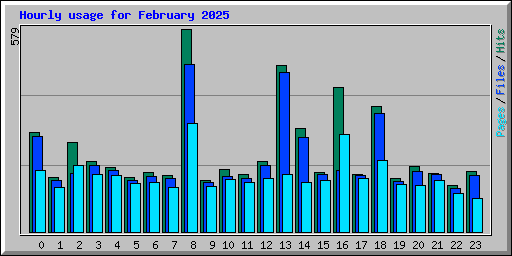 Hourly usage for February 2025