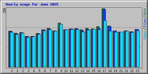 Hourly usage for June 2025