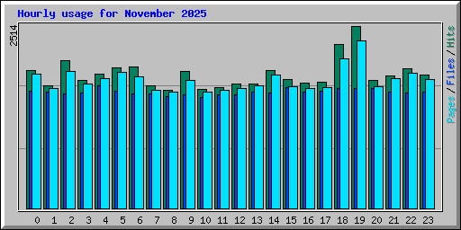 Hourly usage for November 2025