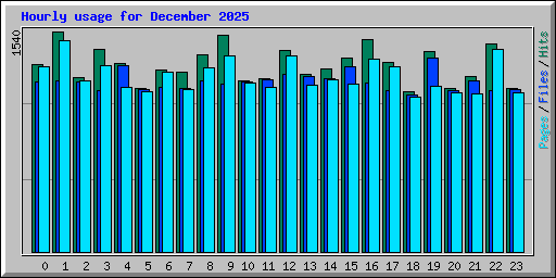 Hourly usage for December 2025