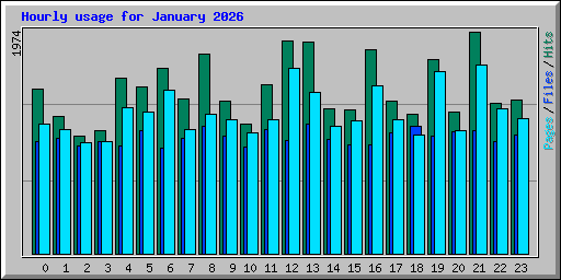Hourly usage for January 2026