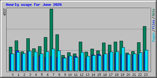 Hourly usage for June 2026